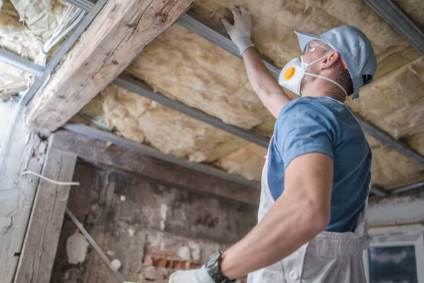 Best Geographic-Specific Insulation Services in Man, IL